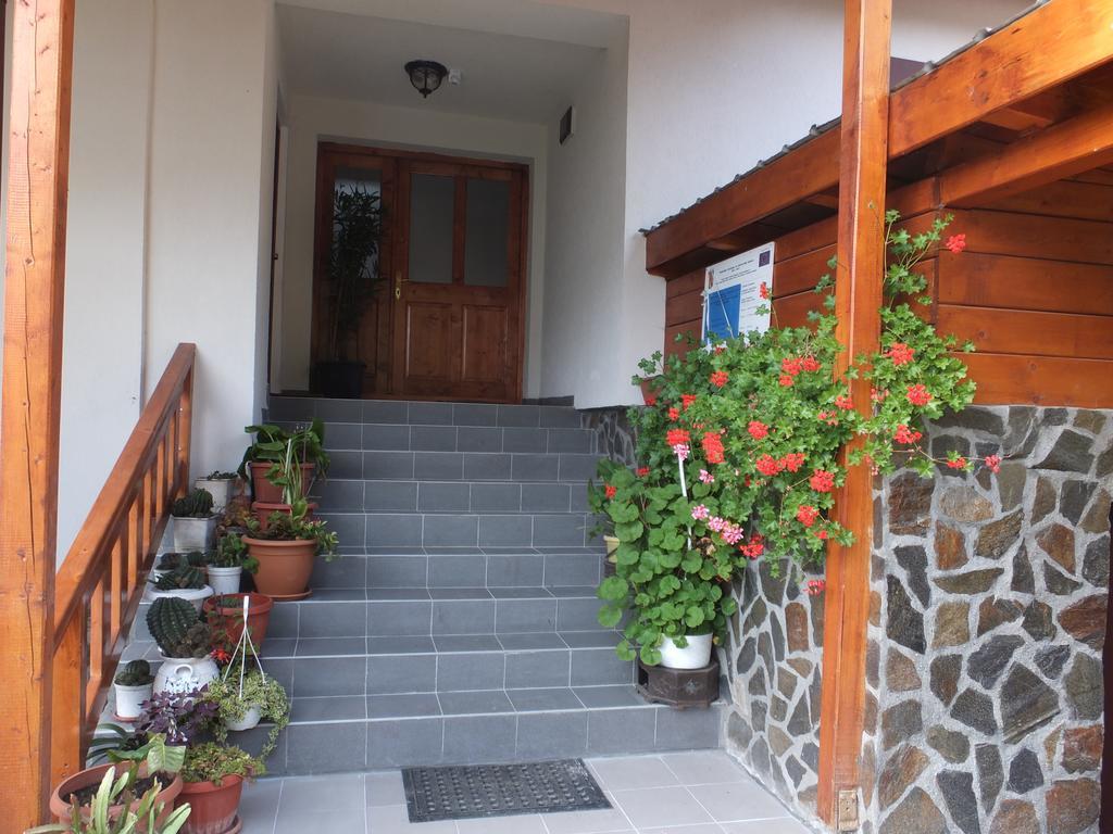 Pensiunea Piatra Mandrutului Scarisoara  Exterior foto