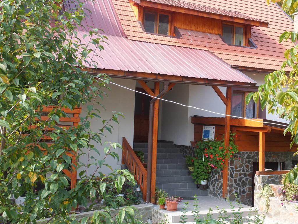 Pensiunea Piatra Mandrutului Scarisoara  Exterior foto