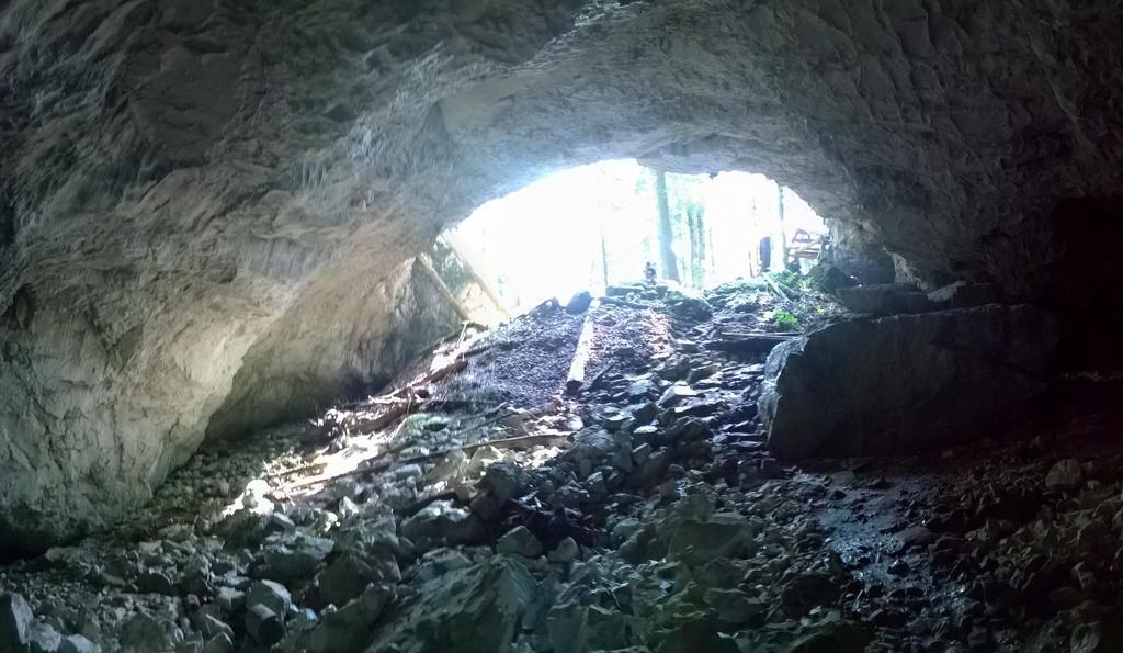 Pensiunea Piatra Mandrutului Scarisoara  Exterior foto