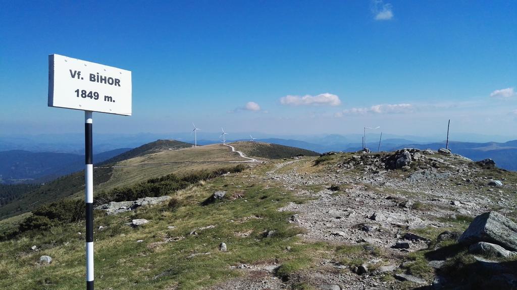 Pensiunea Piatra Mandrutului Scarisoara  Exterior foto