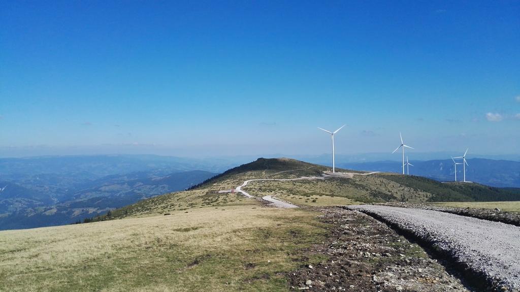 Pensiunea Piatra Mandrutului Scarisoara  Exterior foto